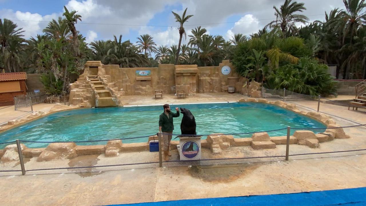 Apartamentos Yanina Gran Alacant Santa Pola Eksteriør billede
