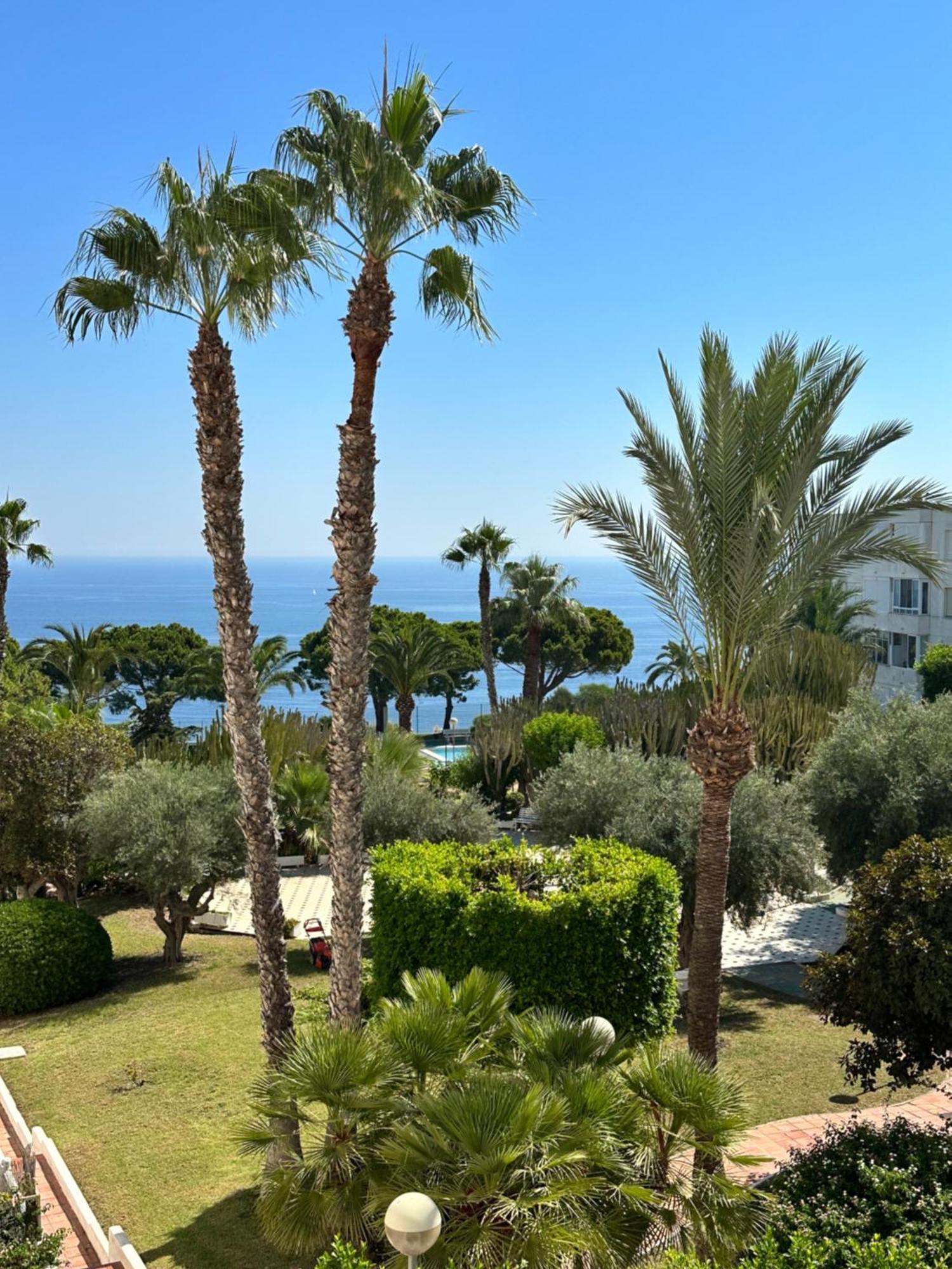 Apartamentos Yanina Gran Alacant Santa Pola Eksteriør billede